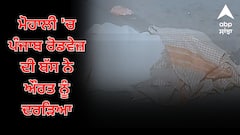 Punjab News: ਮੋਹਾਲੀ 'ਚ ਪੰਜਾਬ ਰੋਡਵੇਜ਼ ਦੀ ਬੱਸ ਨੇ ਔਰਤ ਨੂੰ ਦਰੜਿਆ, ਸਿਰ ਉੱਤੋਂ ਦੀ ਲੰਘੇ ਟਾਇਰ, ਡਰਾਈਵਰ ਮੌਕੇ ਤੋਂ ਹੋਇਆ ਫ਼ਰਾਰ