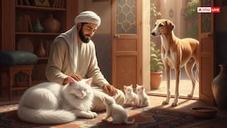 इस्लाम में बिल्ली पालना जायज और कुत्ता पालना नाजायज क्यों माना गया है? जानिए धार्मिक कारण