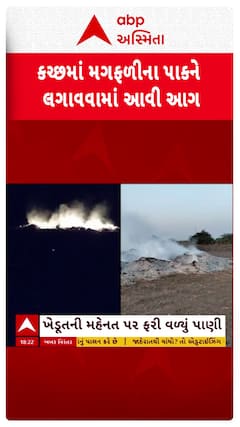 Kutch Farmers : અસામાજિકતત્વોએ ખેડૂતોની મગફળી સળગાવી દીધી