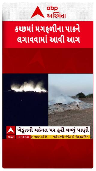 Kutch Farmers : અસામાજિકતત્વોએ ખેડૂતોની મગફળી સળગાવી દીધી