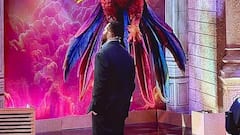 Rohit Shetty Confirms Khatron Ke Khiladi’s Next Season Will Air In 2025