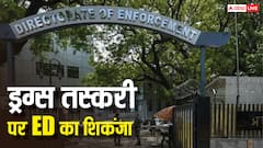 70 लाख कैश जब्त... 110 बैंक अकाउंट फ्रीज, जयपुर 82.53 किलो कोकीन केस में ED का एक्शन, सामने आए चौंकाने वाले खुलासे