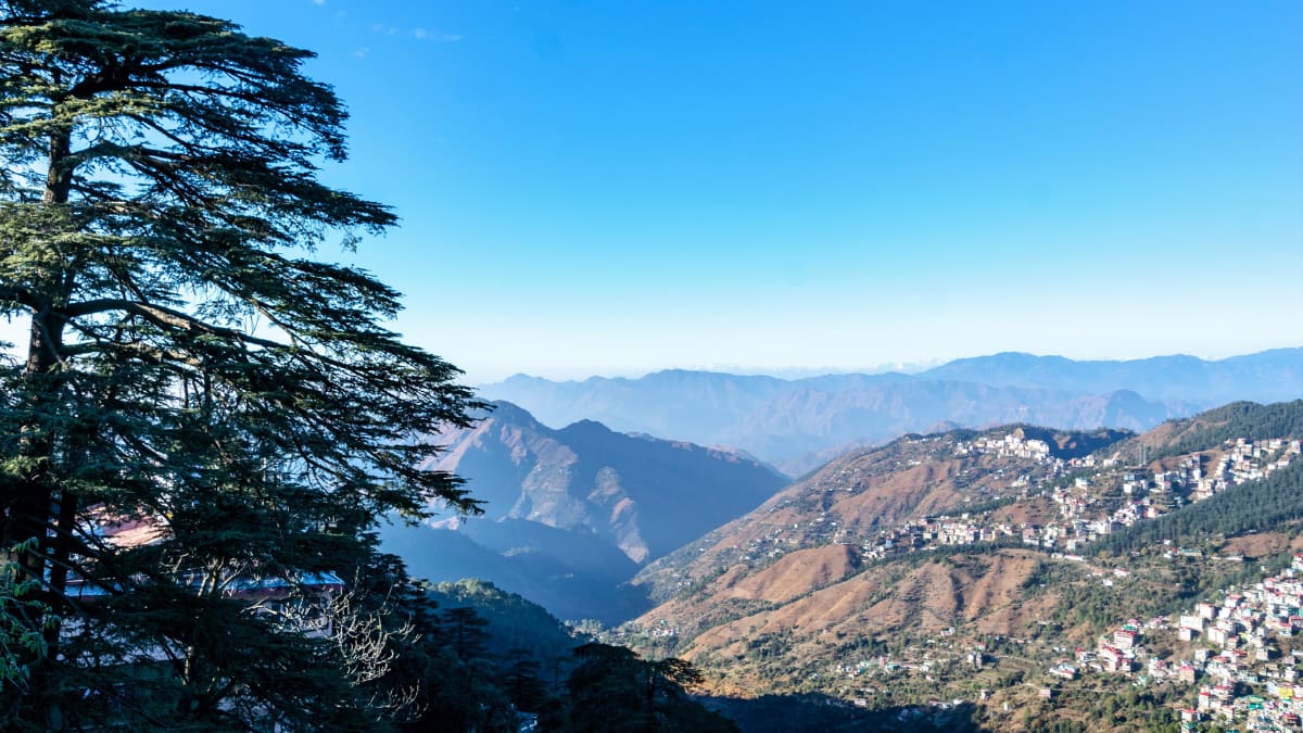 (Image Source: Canva)