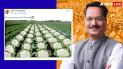 'बिहार में गोबी की खेती को मंजूरी', NDA की जीत के बाद असम के मंत्री की पोस्ट वायरल; भड़की कांग्रेस