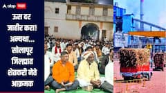 सोलापूर जिल्ह्यात अद्यापही उसाचा दर जाहीर नाही, शेतकरी नेते आक्रमक, 21 तारखेपर्यंत दर जाहीर करा, अन्यथा ऊस वाहतूक रोखणार