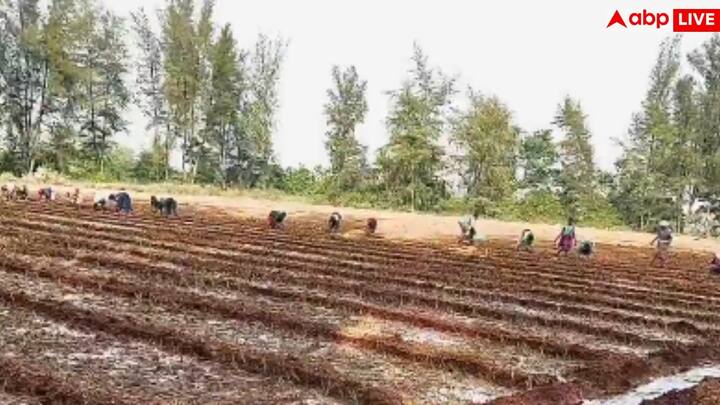 धर्मेंद्र की सबसे बड़ी खूबी यह है कि वह आज भी अपने दर्शकों के लिए उतने ही अपनत्व से भरे हुए हैं जितने अपने शुरुआती दौर में थे.