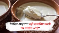 Benefits Of Curd : मंडळींनो.. बिनधास्त खा दही. .फायदे जाणून व्हाल आश्चर्यचकित