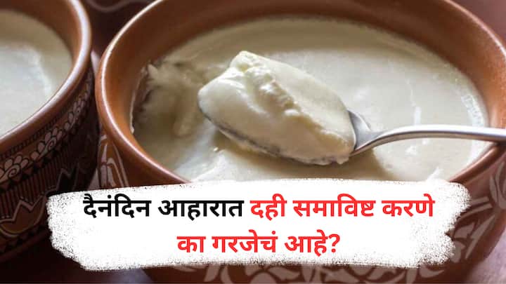 Benefits Of Curd : दहीतील प्रोबायोटिक्स पचन सुधारून गॅस, अपचन आणि फुगलेपणा कमी करतात, त्यामुळे दैनंदिन आहारात दही समाविष्ट करणे आरोग्यासाठी अत्यंत फायदेशीर ठरते.