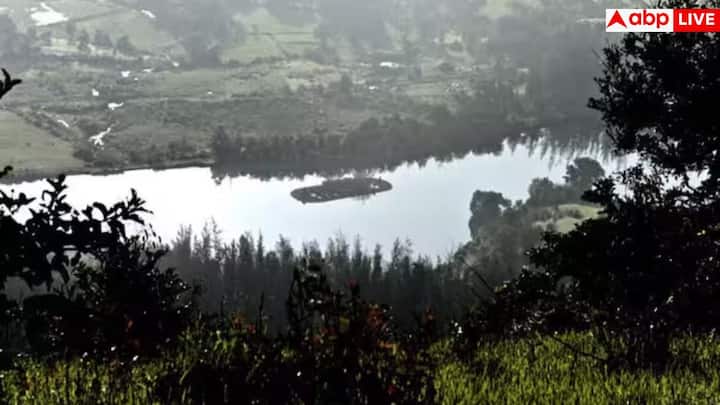 कुछ दिनों पहले तबीयत खराब होने पर उन्हें मुंबई के ब्रीच कैंडी अस्पताल में भर्ती कराया गया था. लेकिन अस्पताल में भर्ती होते ही सोशल मीडिया पर उनके निधन की गलत खबरें फैलने लगीं. 11 नवंबर को उनकी बेटी ईशा देओल और पत्नी हेमा मालिनी ने सामने आकर बताया कि धर्मेंद्र बिल्कुल सुरक्षित हैं. 12 नवंबर को उन्हें अस्पताल से छुट्टी भी दे दी गई.