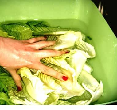 ਇਨ੍ਹਾਂ ਗੱਲਾਂ ਦਾ ਵੀ ਖ਼ਿਆਲ ਰੱਖੋ: ਪੱਤਿਆਂ ਵਾਲੀਆਂ ਸਬਜ਼ੀਆਂ ਜਿਵੇਂ ਪੱਤਾਗੋਭੀ ਅਤੇ ਫੁੱਲਗੋਭੀ ਨੂੰ ਖਾਸ ਧਿਆਨ ਨਾਲ ਧੋਵੋ। ਕੱਚੀਆਂ ਸਬਜ਼ੀਆਂ ਖਾਣ ਤੋਂ ਬਚੋ। ਬਾਹਰ ਨੂਡਲਜ਼, ਬਰਗਰ ਜਾਂ ਸਲਾਦ ਵਰਗੇ ਖਾਣਿਆਂ ਵਿੱਚ ਕੱਚੀਆਂ ਸਬਜ਼ੀਆਂ ਘੱਟ ਤੋਂ ਘੱਟ ਖਾਓ।