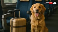 Indian Railways Pet Rules: क्या ट्रेन में कुत्तों को ले जा सकते हैं, जानें क्या है भारतीय रेलवे का नियम