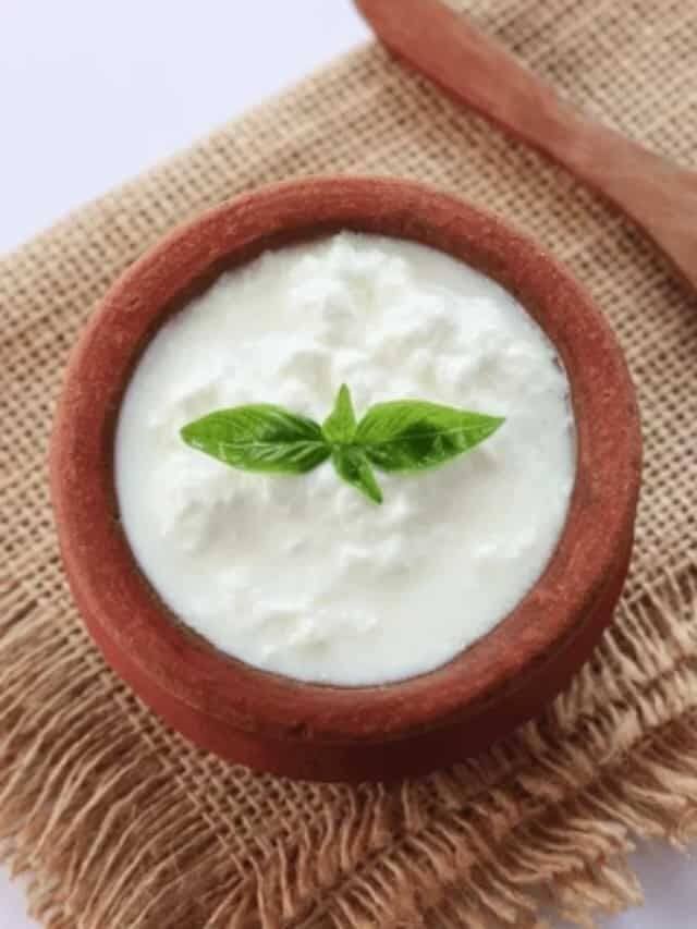 हे बॅक्टेरिया अन्न पचण्याची प्रक्रिया सोपी करतात आणि त्यामुळे पोटाशी संबंधित त्रास कमी होतो.