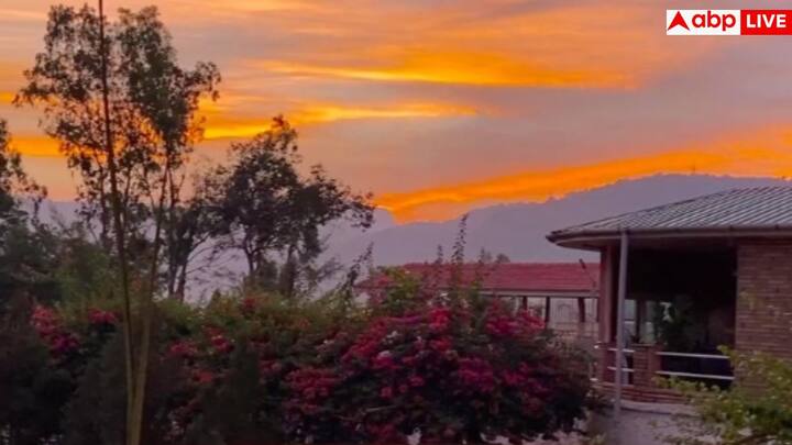 धर्मेंद्र सिर्फ अच्छे अभिनेता ही नहीं थे, बल्कि निर्माता और बिजनेसमैन भी रहे. फिल्मों में लंबा सफर तय करने के बाद उन्होंने खाने-पीने के बिजनेस में कदम रखा. बिजनेस इनसाइडर के अनुसार, 2015 में उन्होंने दिल्ली में गरम धरम ढाबा शुरू किया. फिर 2022 में करनाल हाईवे पर ही-मैन नाम का रेस्टोरेंट खोला.