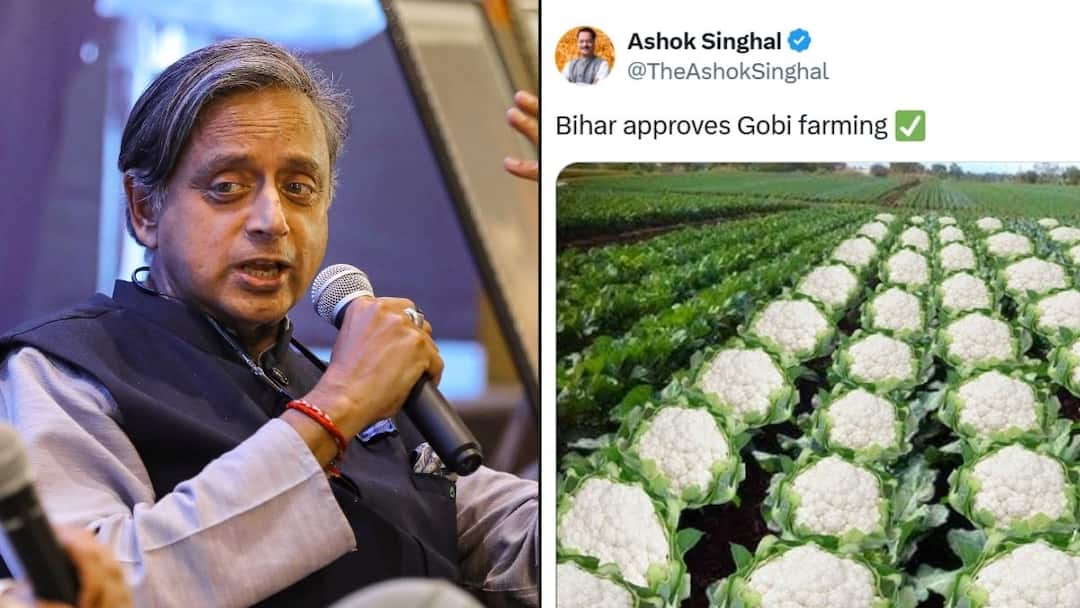 ‘Not My Job….’: Tharoor Responds After Assam Minister’s ‘Gobi Farming’ Post Sparks Outrage