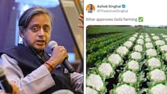 'Not My Job....': Tharoor Responds After Assam Minister’s ‘Gobi Farming’ Post Sparks Outrage