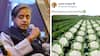 'Not My Job....': Tharoor Responds After Assam Minister’s ‘Gobi Farming’ Post Sparks Outrage