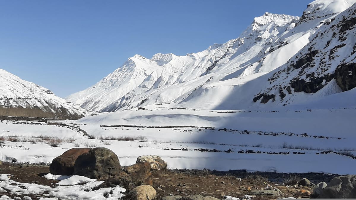 (Image Source: Canva)