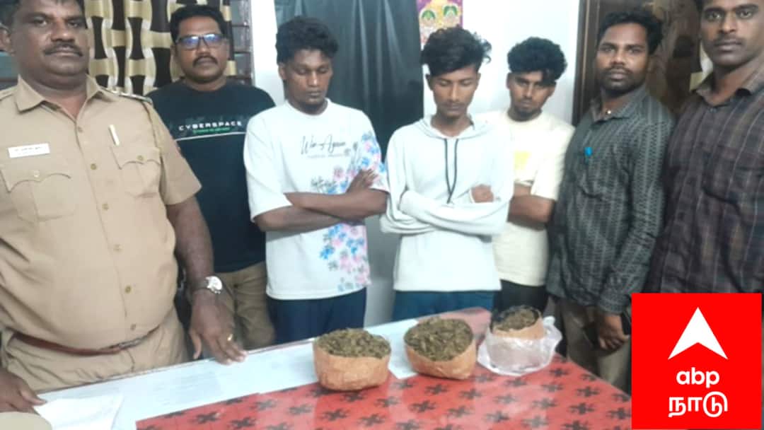 கஞ்சா வழக்கில் 412 பேர்: கைது 35 கிலோ கஞ்சா பறிமுதல் - எங்கே தெரியுமா..?