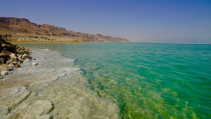 मृत सागर का पानी सामान्य समुद्रों से लगभग 10 गुना अधिक खारा है. यही कारण है कि यहां कोई मछली तैरती नहीं और पौधे उगते नहीं.
