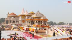 विवाह पंचमी पर पीएम मोदी करेंगे राम मंदिर में ध्वज पूजन, भक्तों के लिए इस दिन रामलला के दर्शन होंगे बंद!