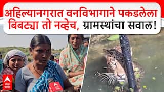 Ahilyanagar Bibtya : अहिल्यानगरात वनविभागाने पकडलेला बिबट्या तो नव्हेच, ग्रामस्थांचा सवाल