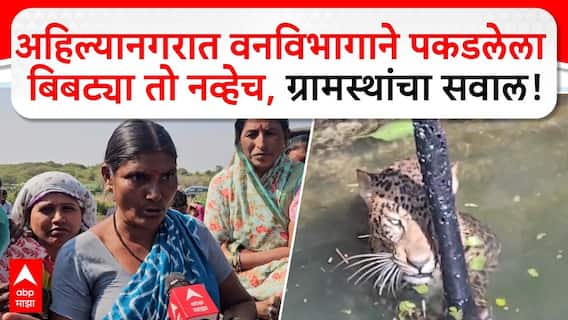 Ahilyanagar Bibtya : अहिल्यानगरात वनविभागाने पकडलेला बिबट्या तो नव्हेच, ग्रामस्थांचा सवाल