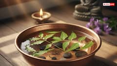 Neem ke Totke: कड़वे नीम में छिपा है सौभाग्य का राज, ये 5 गुप्त ज्योतिष उपाय बदल देंगे तकदीर..