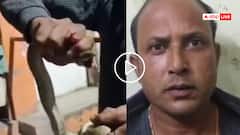 Video: सांप ने डसा तो जिंदा कोबरा को पकड़ अस्पताल ले आया शख्स, बिजनौर का वीडियो वायरल