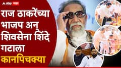 राज ठाकरेंची बाळासाहेबांसाठी भावनिक पोस्ट; भाजप अन् शिवसेना शिंदे गटाला कानपिचक्या,काय म्हणाले?