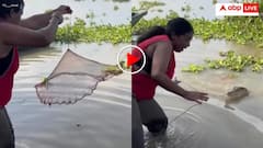 मछली पकड़ने के लिए दीदी ने फेंका जाल तभी सामने आ गया मगरमच्छ! दरिंदे को देख निकल गई चीखें