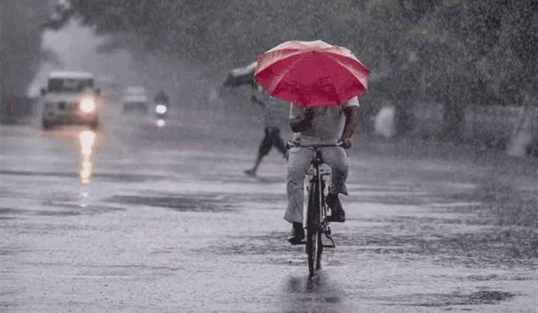 Rain Alert: காற்றழுத்த தாழ்வு மண்டலம்:  நவம்பர் 22 முதல் 25 வரை எந்தெந்த மாவட்டங்களில் கனமழை? வானிலை மையத்தின் இன்றைய அறிக்கை