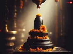 Pradosh Vrat 2025 November: સોમપ્રદોષ વ્રત આજે, આ વિધિથી પૂજા કરવાથી મનની ઇચ્છા થશે પૂર્ણ