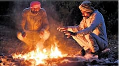 Temperature Today: उत्तर भारतात थंडीची लाट, महाराष्ट्रात हुडहुडी! आज कुठे किती निचांकी तापमान?