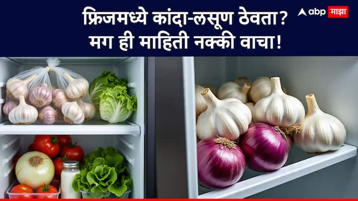 कांदा आणि लसूण हे बहुतेक घरात फ्रिजमध्ये ठेवले जातात… पण खरंच हे बरोबर आहे का? त्यांच्या चवीवर, टेक्स्चरवर आणि पोषणावर त्याचा परिणाम होतो का? जाणून घ्या महत्त्वाची माहिती!