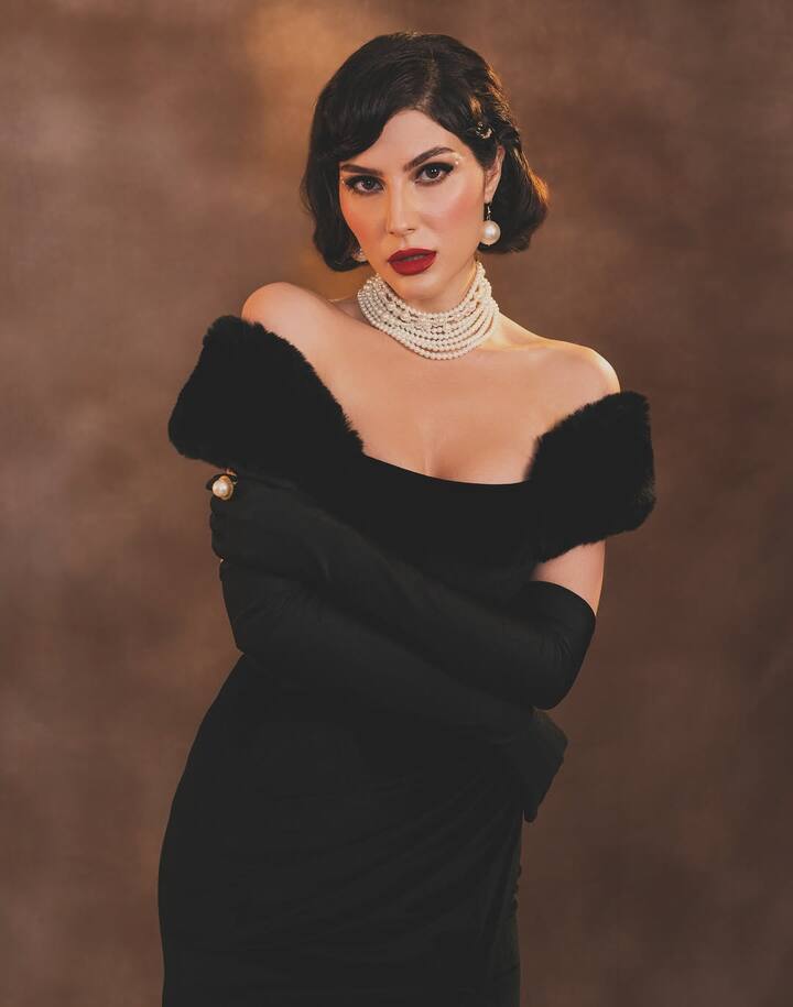 Elnaaz Naoroji has gained a lot of popularity among the audience with her glamorous looks. Haseena keeps impressing her fans with her different looks on Instagram. The actress has made her special identity with Netflix's web series 'Sacred Games'.