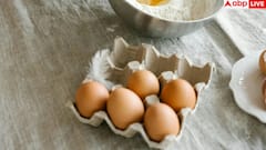 Egg Palak Curry: घर में कैसे बनाएं ढाबा स्टाइल ऐग पालक करी? इतना जोरदार होगा स्वाद कि हर कोई चाट लेगा उंगलियां