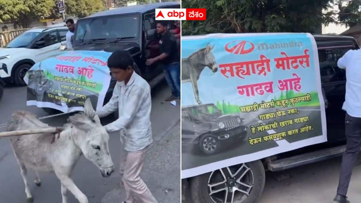 Thar Donkeys: థార్ కారును గాడిదలతో షోరూమ్‌కు లాక్కెళ్లి నిరసన - పుణె వాసిని అంత టార్చర్ పెట్టిందట మరి !