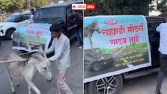 థార్ కారును గాడిదలతో షోరూమ్‌కు లాక్కెళ్లి నిరసన - పుణె వాసిని అంత టార్చర్ పెట్టిం