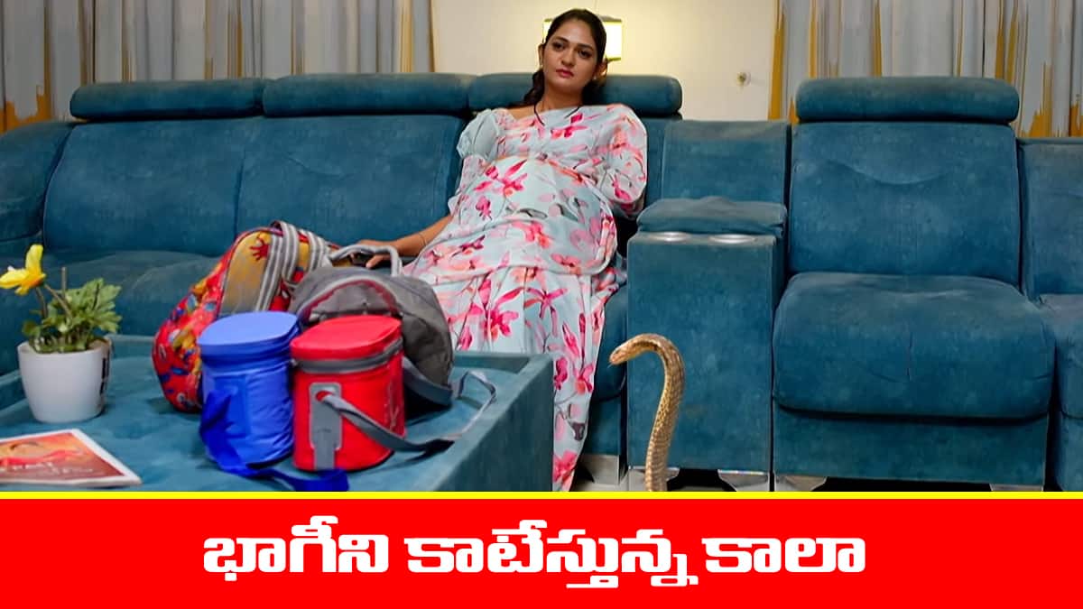 Nindu Noorella Saavasam Serial Today November 17th: ‘నిండు నూరేళ్ల సావాసం’ సీరియల్‌: భాగీని కాటేయబోయిన కాలా – అయోమయంలో ఆరు  