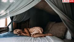 Sleep Disrupting Foods: बिस्तर पर जाने से पहले कभी नहीं खानी-पीनी चाहिए ये चीजें, नाम जानकर उड़ जाएंगे होश
