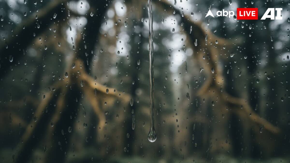 8 Unusual Digital Detox Practices You Must Try At Least Once For A Clearer Mind