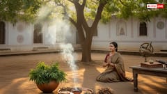 Neem ke Totke: कड़वे नीम में छिपा है सौभाग्य का राज, ये 5 गुप्त ज्योतिष उपाय बदल देंगे तकदीर..