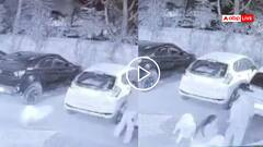 Video: महिला पर कुत्ते का जनलेवा हमला, हाथों और पीठ पर काटा, जयपुर की सोसाइटी का वीडियो वायरल