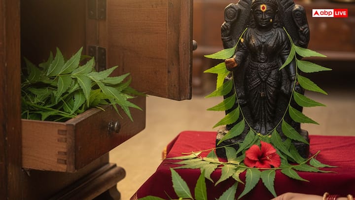 अगर घर में पैसा नहीं टिकता है, तो अपनी तिजोरी या अलमारी में नीम की कुछ हरी पत्तियां रखें. हर शुक्रवार को इन्हें बदलें. लगातार 11 दिनों तक सुबह ताज़े नीम के पत्ते तोड़कर मां काली के मंदिर या घर पर उनकी प्रतिमा को अर्पित करें. ऐसा करने से पैसों की तंगी दूर होने के साथ घर में सुख-शांति और आत्मविश्वास में भी वृद्धि हो सकती है.