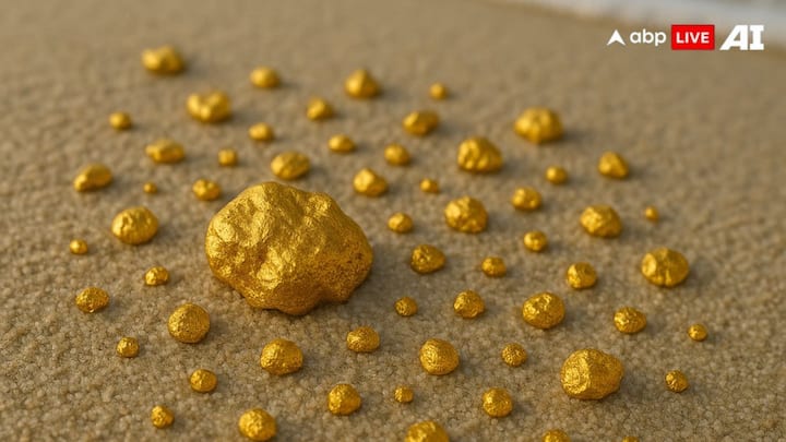 जमुई में सोने के भंडार का आकार काफी बड़ा है. कई देशों के पास ऐसे भंडार का एक अंश तक नहीं है. हालांकि बुनियादी ढांचे की कमी की वजह से पूरे पैमाने पर यहां पर खनन में देरी हुई है.