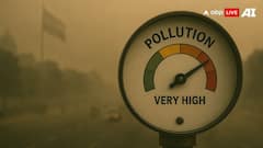 भारत में कैसे कंट्रोल हो सकता है प्रदूषण, चीन से किन बातों को सीखने की जरूरत?