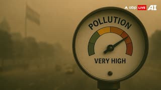 OPINION | A Four-Point Strategy To End Delhi-NCR’s Deadly Smog Cycle, According To TERI Fellow