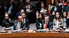 बोर्ड ऑफ पीस तय करेगा गाजा का भविष्य? इजरायल की नाराजगी के बीच UNSC ने ट्रंप के प्लान को दी मंजूरी