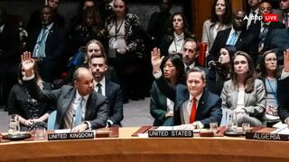 बोर्ड ऑफ पीस तय करेगा गाजा का भविष्य? इजरायल की नाराजगी के बीच UNSC ने ट्रंप के प्लान को दी मंजूरी