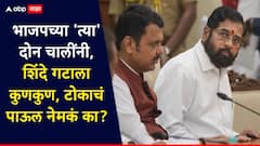 अमित शाह म्हणाले, कुबड्या नको, नाराज शिंदें गटाला विनाशाची कुणकुण लागायला हवी होती, सुषमा अंधारेंचं टीकास्त्र, 'त्या' 3 घटना जिव्हारी